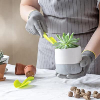 Enkla DIY-projekt som förvandlar ditt hem och trädgård